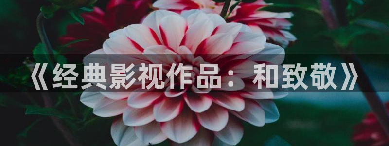 神马老子影院午夜伦