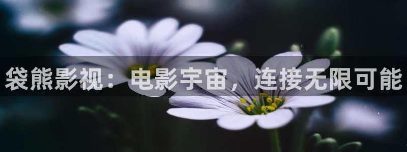 老子午夜神马影院