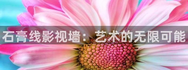 成人午夜电影一区